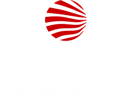 Auto Appearance Group